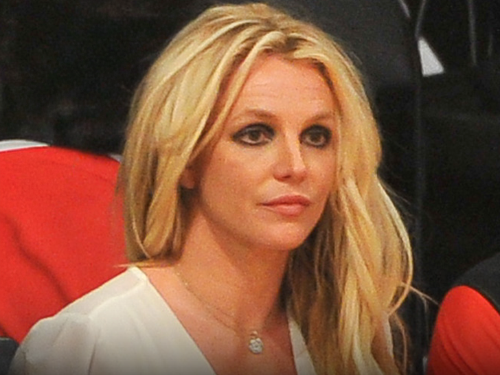 Britney Spears: The Rise, Struggles, and Comeback of